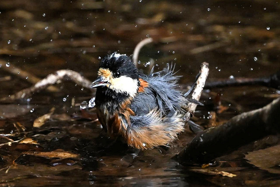 ���}�K��